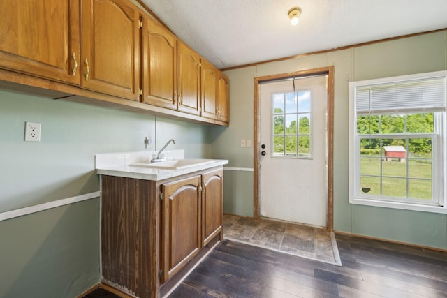 clothes washing area with a sink and dark wood-type flooring