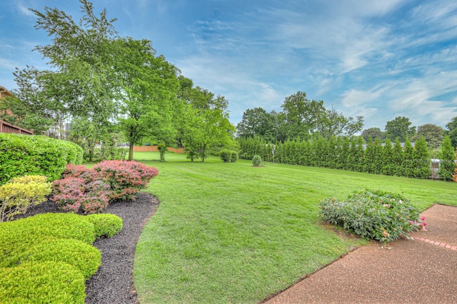 145 Dekewood Dr, Old Hickory, TN 37138 - view of green lawn featuring view of wooded area