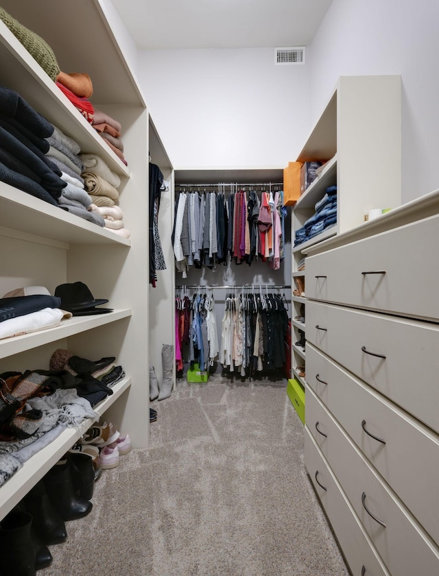 walk in closet with carpet
