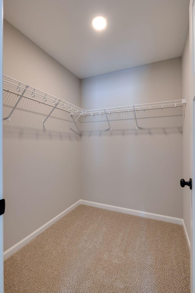 617 Kingree Rd, Shelbyville, TN 37160 - photo 18
