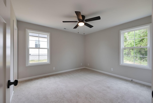 225 Coney Island Rd, Shelbyville, TN 37160 - photo 16