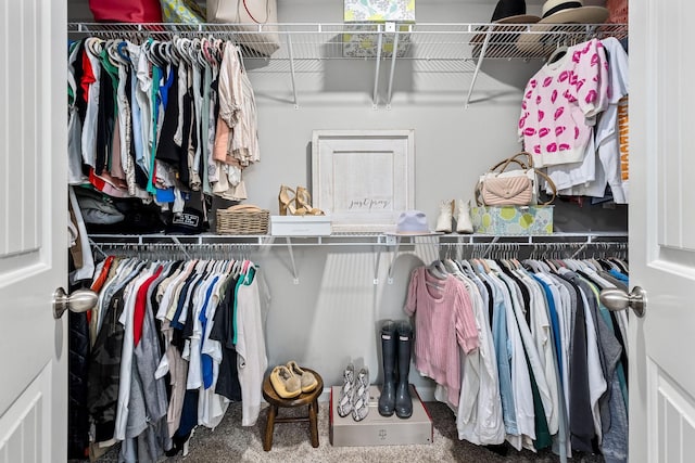 1006 Brinxton Run, Murfreesboro, TN 37128 - view of walk in closet