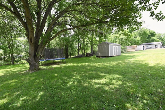 view of yard featuring a shed, a trampoline, and an outbuilding