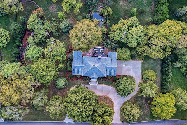 aerial view