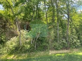 view of tree filled area