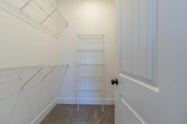 1161 Goose Dr, Springfield, TN 37172 - spacious closet featuring carpet flooring