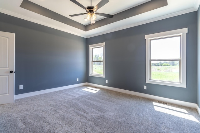 1161 Goose Dr, Springfield, TN 37172 - unfurnished room featuring a raised ceiling, ornamental molding, carpet flooring, baseboards, and a ceiling fan