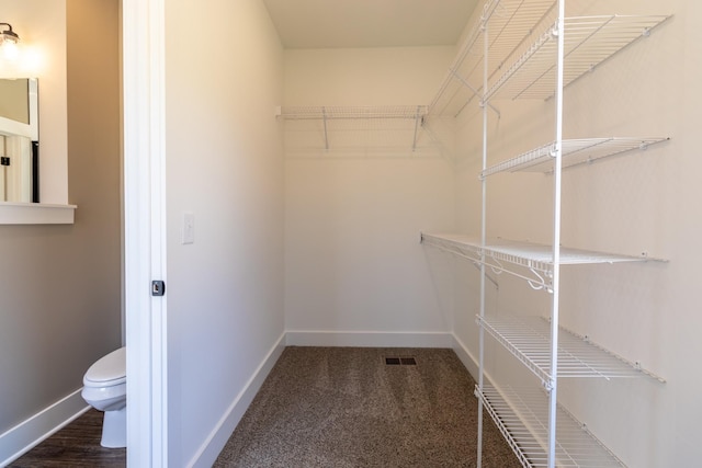 1137 Goose Dr, Springfield, TN 37172 - spacious closet with carpet flooring