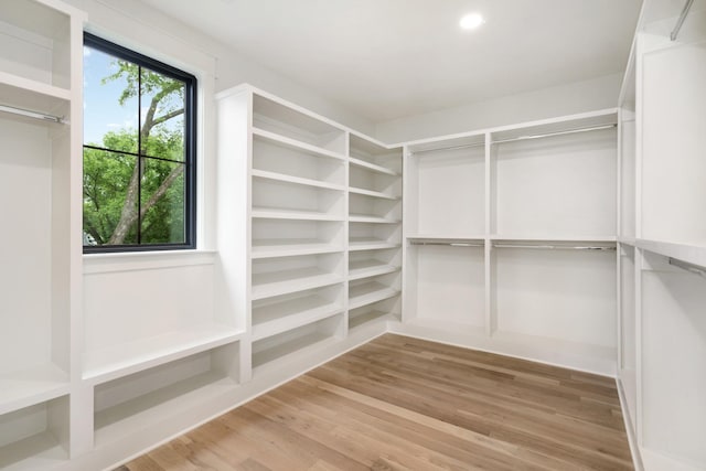 spacious closet featuring light wood finished floors