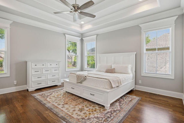 1567 Bunbury Dr, Thompsons Station, TN 37179 - bedroom with a tray ceiling, multiple windows, crown molding, dark wood-style flooring, and recessed lighting