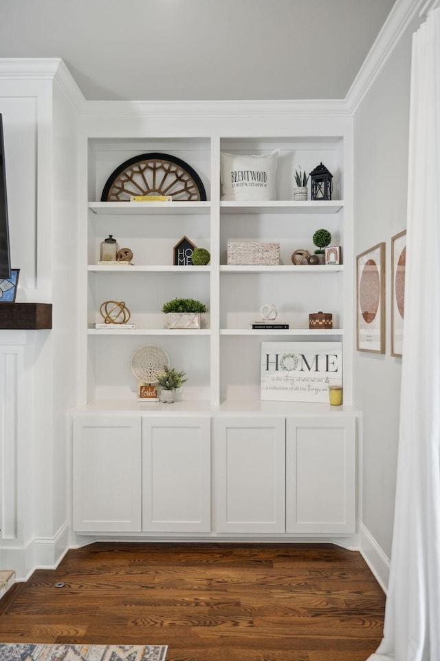 1567 Bunbury Dr, Thompsons Station, TN 37179 - detailed view of built in features and wood finished floors