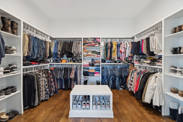 1567 Bunbury Dr, Thompsons Station, TN 37179 - spacious closet with wood finished floors