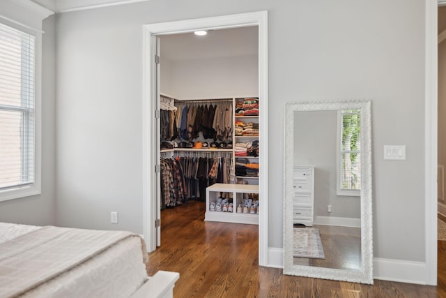 1567 Bunbury Dr, Thompsons Station, TN 37179 - bedroom with a spacious closet, a closet, wood finished floors, and baseboards