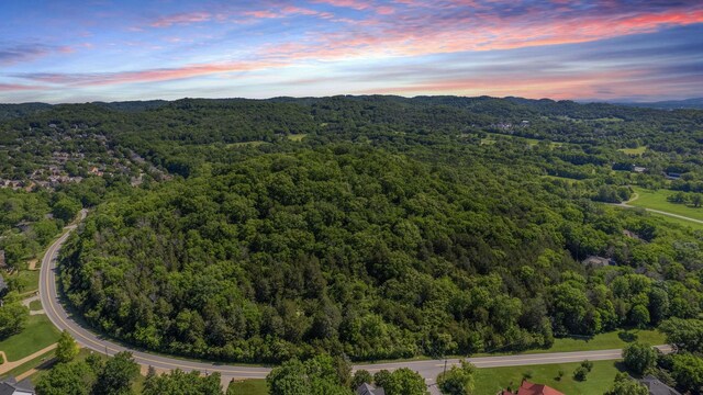 242 Spencer Creek Rd, Franklin, TN 37069 - photo 1