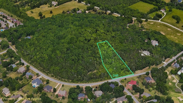 242 Spencer Creek Rd, Franklin, TN 37069 - photo 10