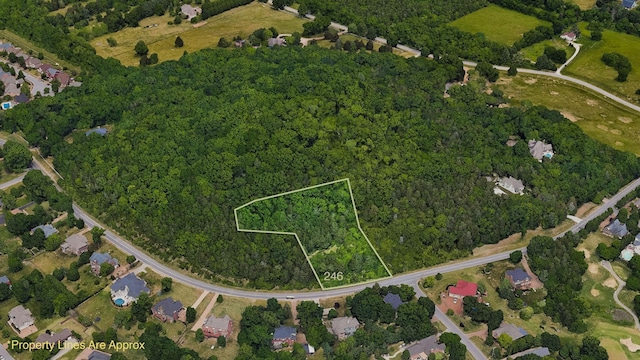 242 Spencer Creek Rd, Franklin, TN 37069 - photo 9