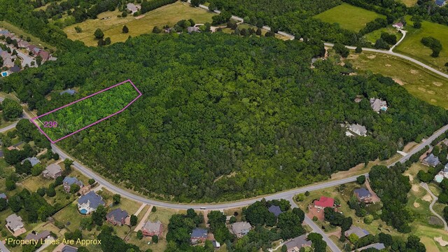 242 Spencer Creek Rd, Franklin, TN 37069 - photo 5