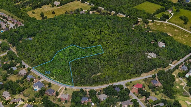 242 Spencer Creek Rd, Franklin, TN 37069 - photo 7