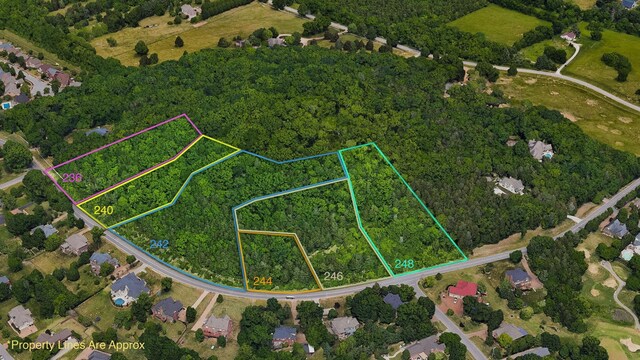 242 Spencer Creek Rd, Franklin, TN 37069 - photo 4