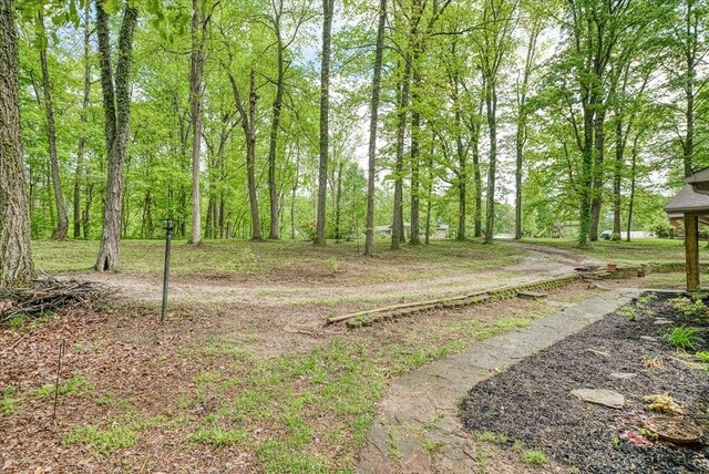 167 Seminole Ln, Sparta, TN 38583 - photo 6
