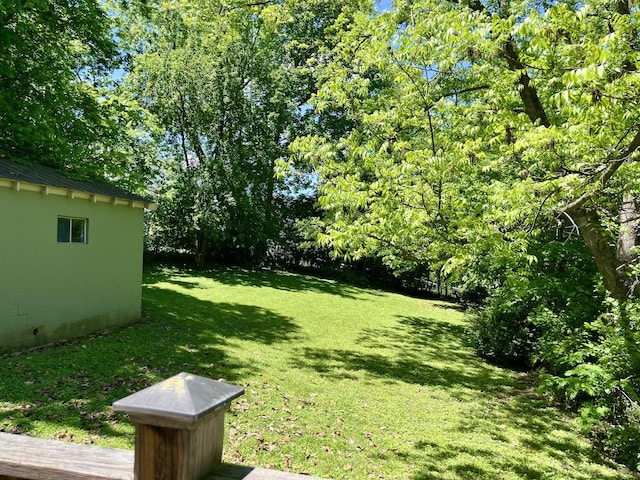 219 Garner St, Springfield, TN 37172 - view of green lawn