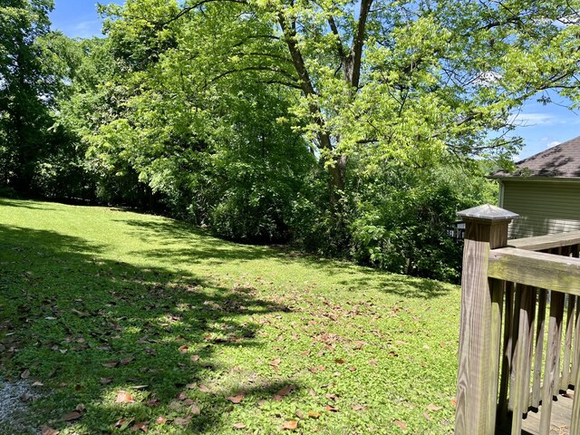 219 Garner St, Springfield, TN 37172 - view of green lawn