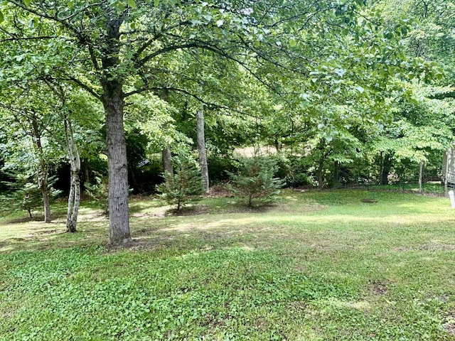 205 W Harp St, Manchester, TN 37355 - photo 18