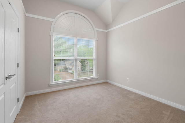 313 Red Feather Ln, Brentwood, TN 37027 - carpeted spare room featuring plenty of natural light, baseboards, and lofted ceiling