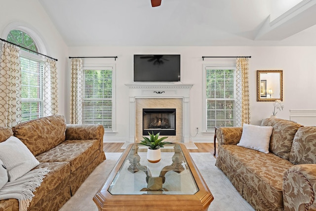313 Red Feather Ln, Brentwood, TN 37027 - living area with lofted ceiling, wood finished floors, plenty of natural light, and a fireplace