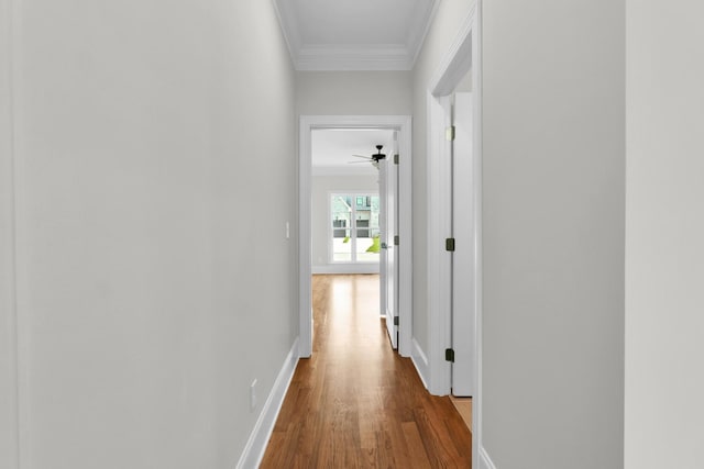 2212 Peterson Dr, Chattanooga, TN 37421 - hall featuring ornamental molding and wood finished floors