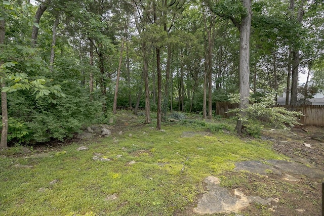 3512 Seneca Forest Dr, Nashville, TN 37217 - photo 10