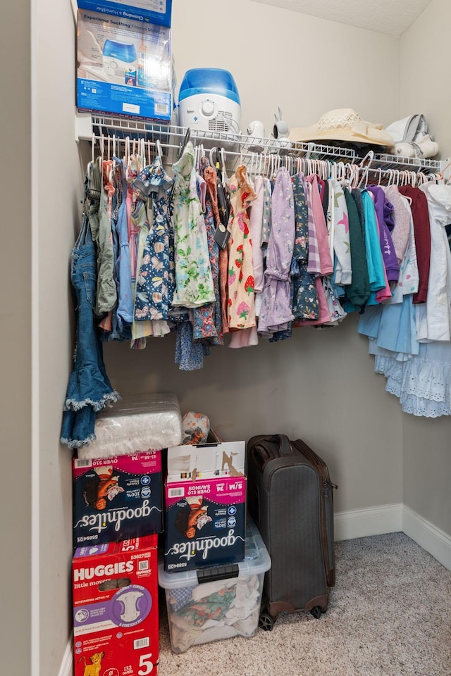 1951 Winsome Ln, Adams, TN 37010 - view of walk in closet