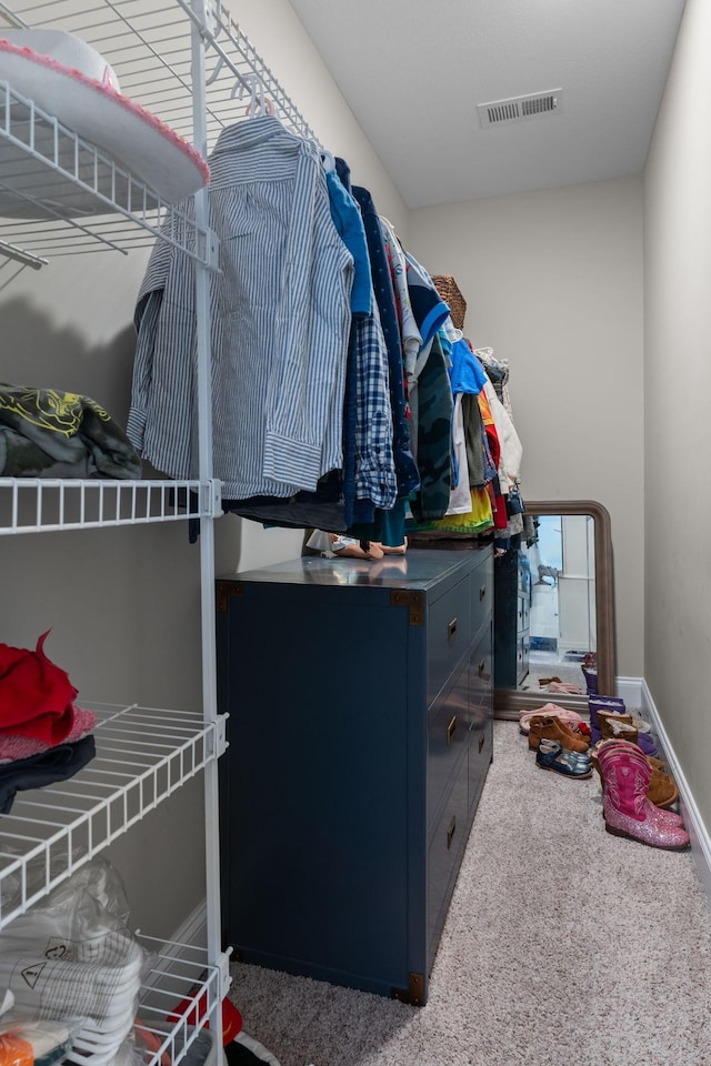 1951 Winsome Ln, Adams, TN 37010 - walk in closet with carpet