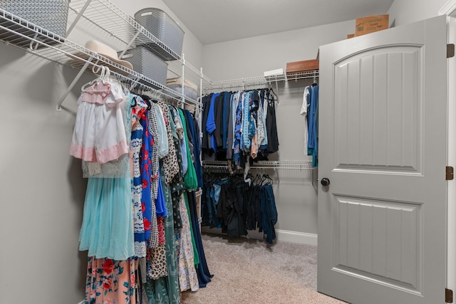 1951 Winsome Ln, Adams, TN 37010 - spacious closet featuring carpet floors