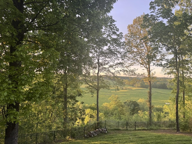 1951 Winsome Ln, Adams, TN 37010 - view of yard