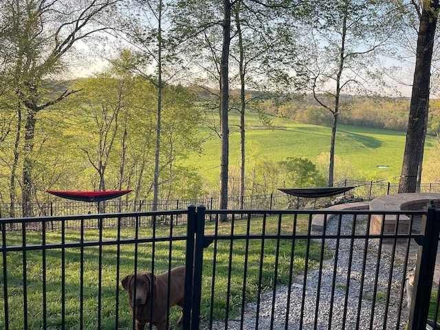 1951 Winsome Ln, Adams, TN 37010 - view of yard