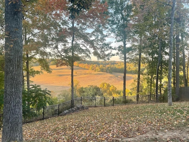 1951 Winsome Ln, Adams, TN 37010 - view of nature