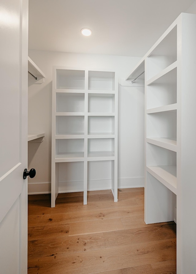 2013 Hector Dr, Thompsons Station, TN 37179 - walk in closet with light wood-style flooring