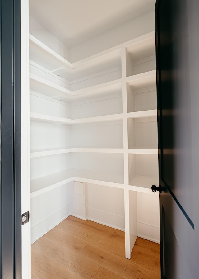 2013 Hector Dr, Thompsons Station, TN 37179 - view of storage area