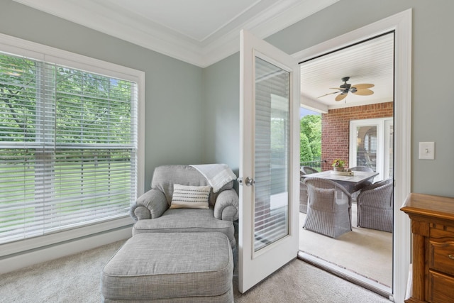 2335 Garrison Cv, Murfreesboro, TN 37130 - sitting room featuring carpet floors, plenty of natural light, ceiling fan, and ornamental molding