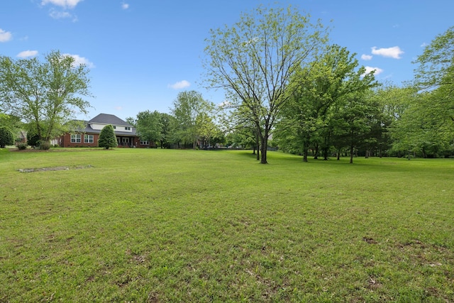 2335 Garrison Cv, Murfreesboro, TN 37130 - view of green lawn