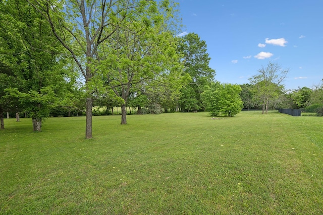 2335 Garrison Cv, Murfreesboro, TN 37130 - view of yard