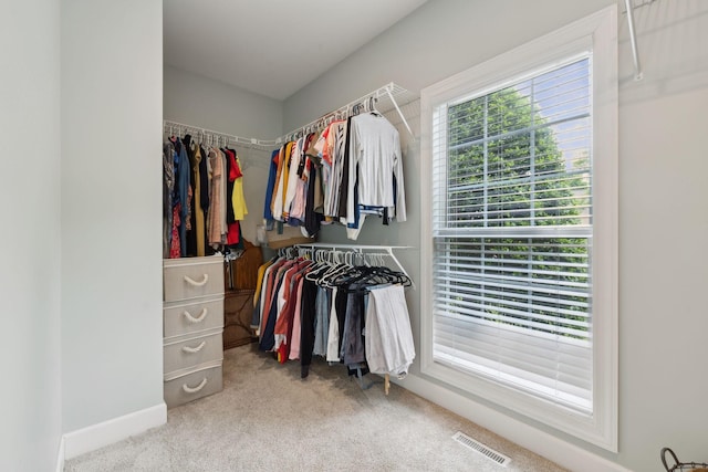 2335 Garrison Cv, Murfreesboro, TN 37130 - spacious closet featuring carpet flooring