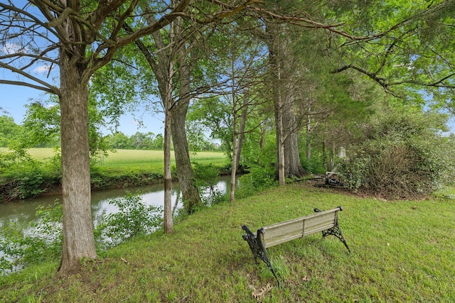 2335 Garrison Cv, Murfreesboro, TN 37130 - surrounding community featuring a lawn and a water view