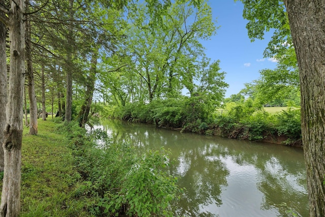 2335 Garrison Cv, Murfreesboro, TN 37130 - water view