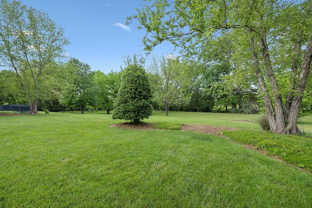 2335 Garrison Cv, Murfreesboro, TN 37130 - view of yard