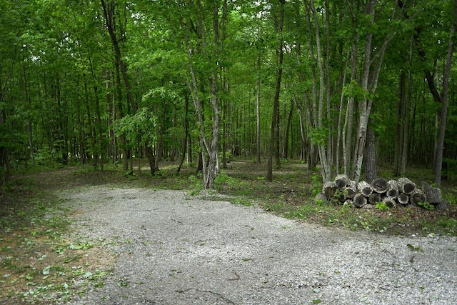 9998 S Pittsburg Mountain Rd, South Pittsburg, TN 37380