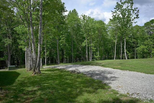 9998 S Pittsburg Mountain Rd, South Pittsburg, TN 37380