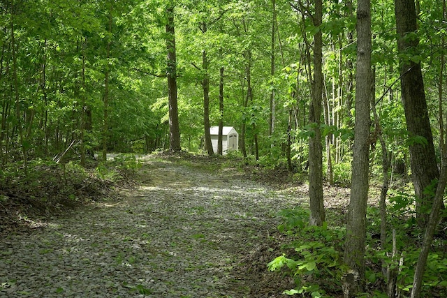 9998 S Pittsburg Mountain Rd, South Pittsburg, TN 37380