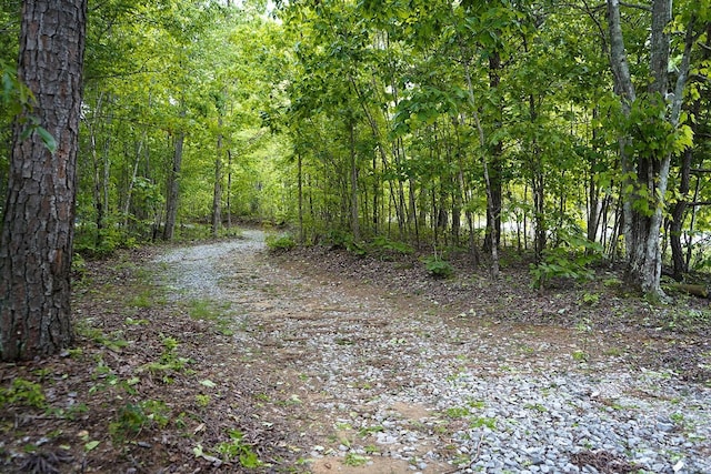 9998 S Pittsburg Mountain Rd, South Pittsburg, TN 37380